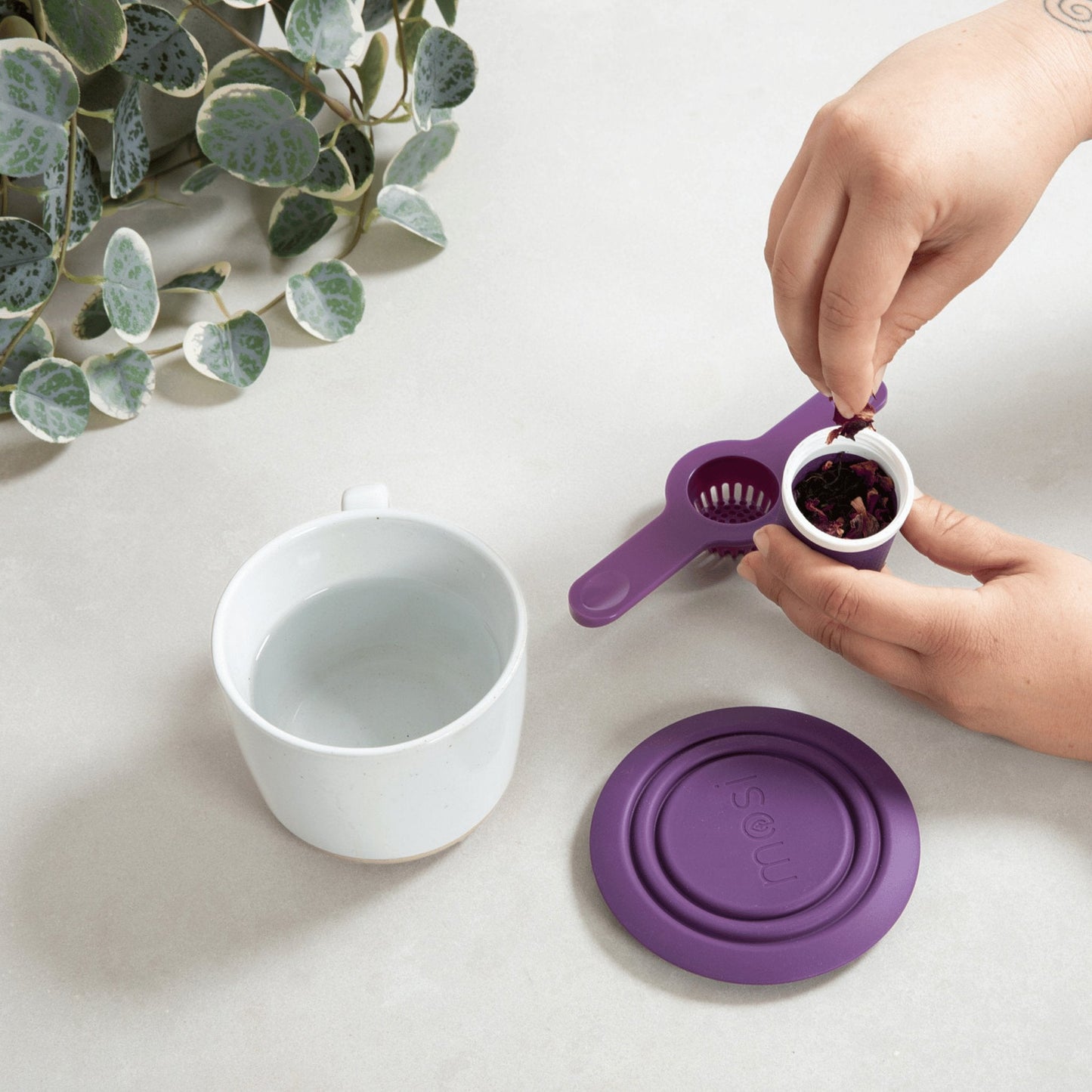 Mug Infuser & Green Tea Starter Kit - Mosi Tea