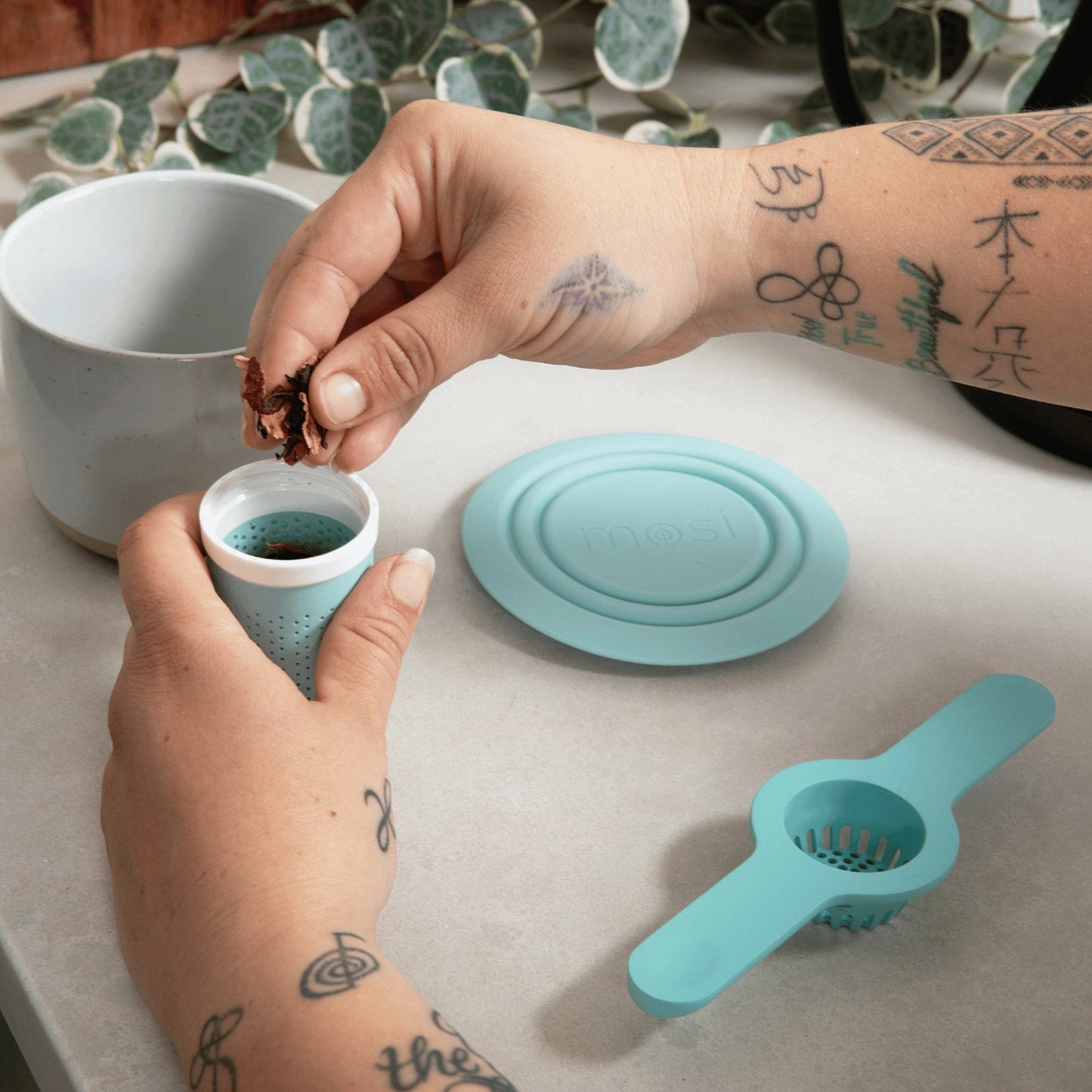 Mug Infuser & Green Tea Starter Kit - Mosi Tea