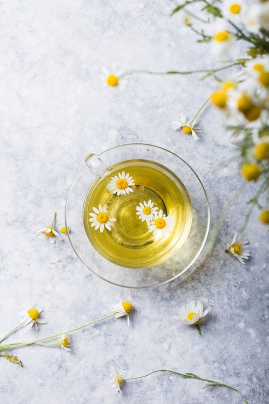 Green Chamomile Cozy Vanilla Dream - Mosi Tea