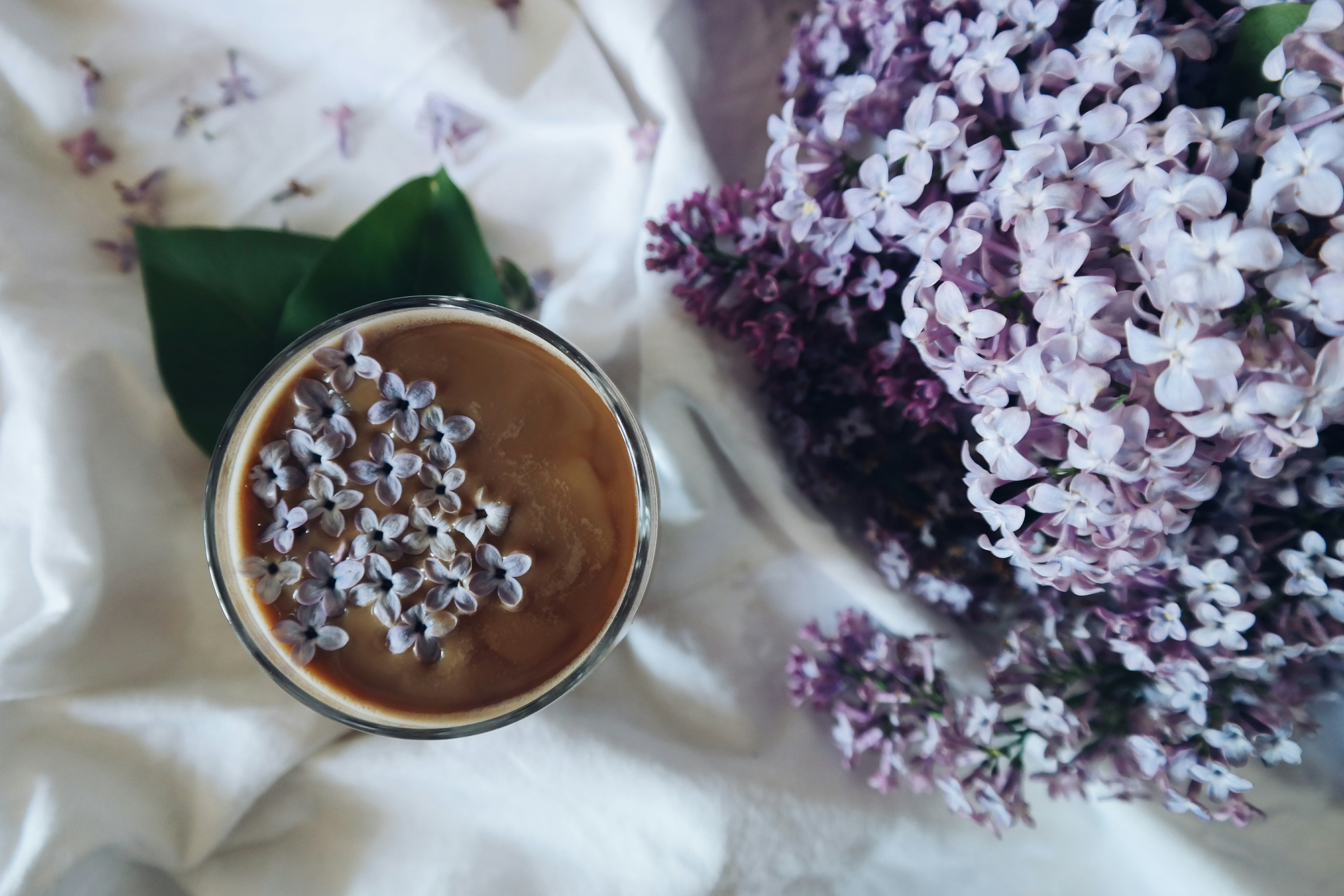 Morning Black Lavender Latte - Mosi Tea