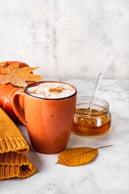 Warm Pumpkin Grove Orange Infusion - Mosi Tea