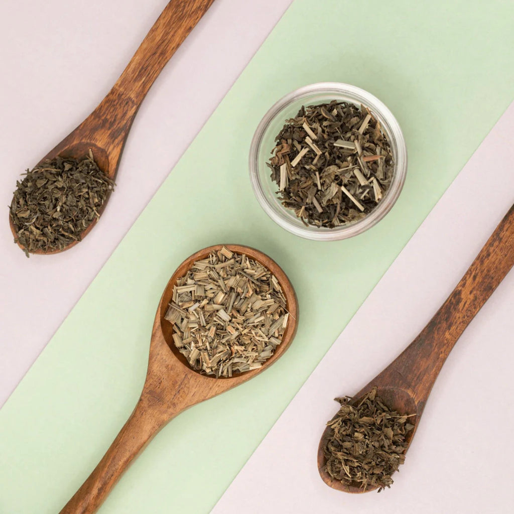 Mosi Tea - Portable Tea, Matcha, and Cold-brew Infusers and Tea